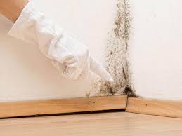 Best Crawl Space Mold Remediation  in Rockwell, NC